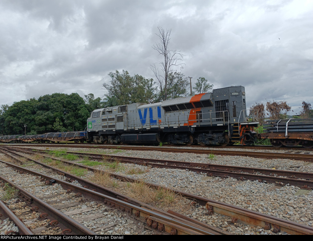 VLI 8429
